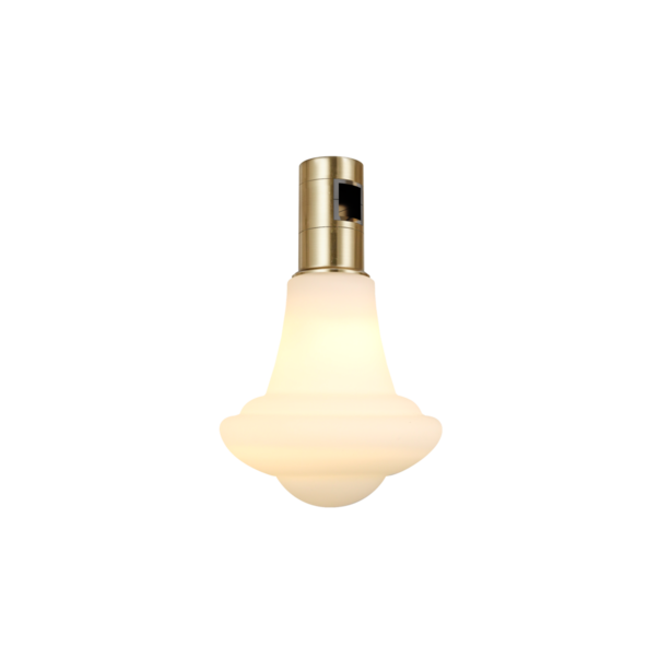 模组照明灯头 C3-100